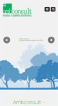 Mobile Screenshot of ambconsult.com.br